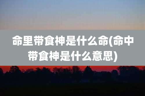 命里带食神是什么命(命中带食神是什么意思)