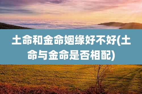 土命和金命姻缘好不好(土命与金命是否相配)