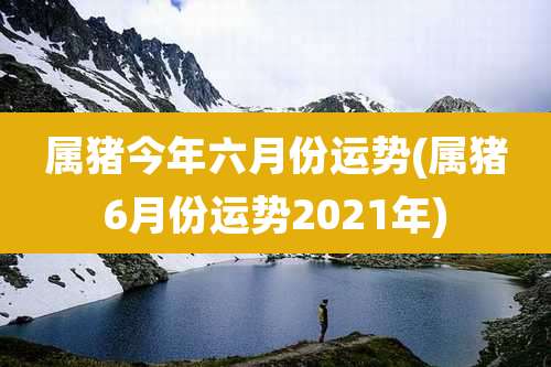 属猪今年六月份运势(属猪6月份运势2021年)