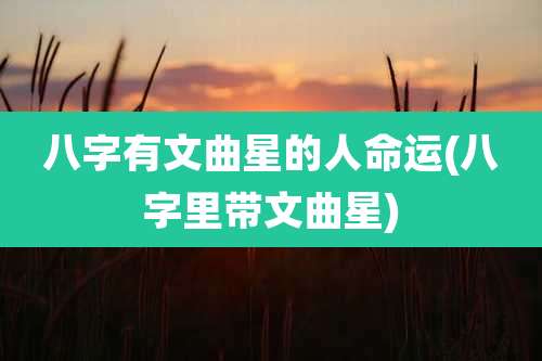 八字有文曲星的人命运(八字里带文曲星)