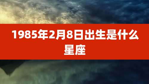 1985年2月8日出生是什么星座