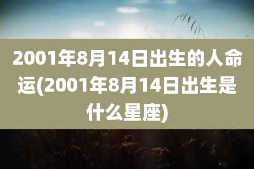 2001年8月14日出生的人命运(2001年8月14日出生是什么星座)