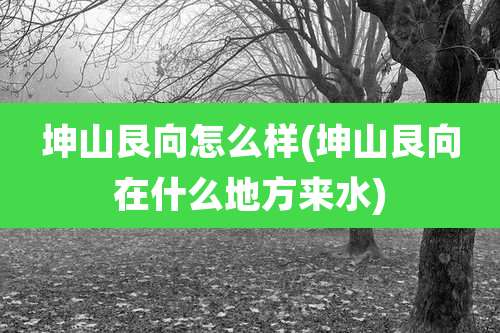 坤山艮向怎么样(坤山艮向在什么地方来水)