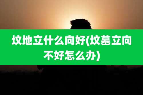 坟地立什么向好(坟墓立向不好怎么办)