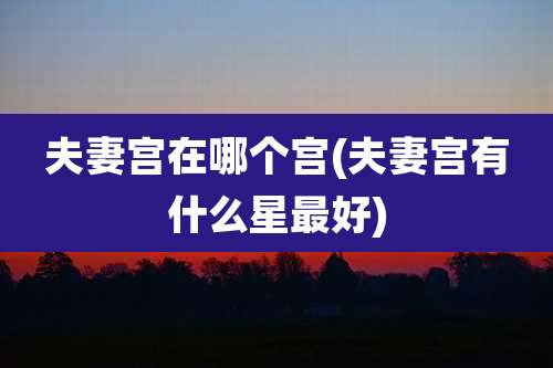 夫妻宫在哪个宫(夫妻宫有什么星最好)