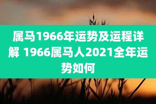 属马1966年运势及运程详解 1966属马人2021全年运势如何