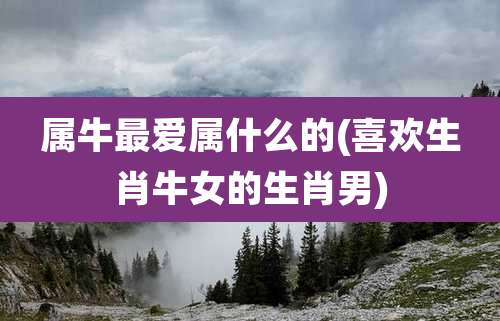 属牛最爱属什么的(喜欢生肖牛女的生肖男)