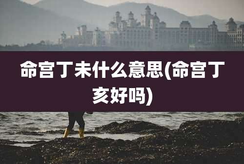 命宫丁未什么意思(命宫丁亥好吗)