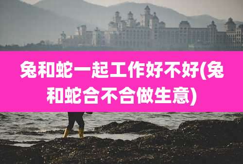 兔和蛇一起工作好不好(兔和蛇合不合做生意)