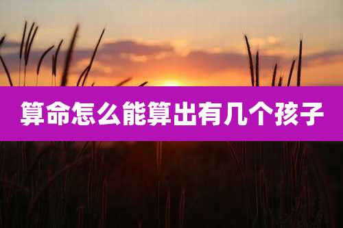 算命怎么能算出有几个孩子