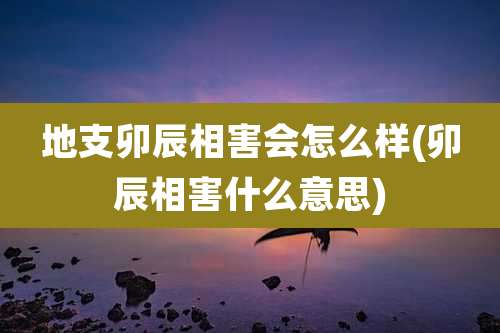 地支卯辰相害会怎么样(卯辰相害什么意思)