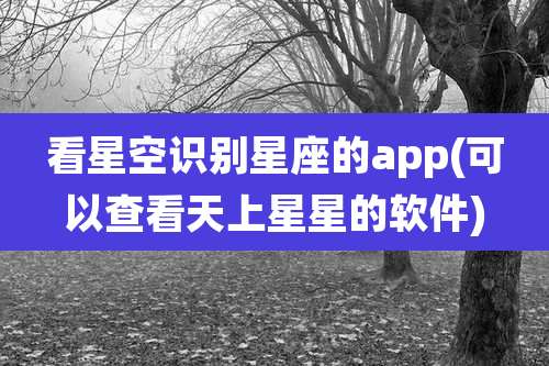 看星空识别星座的app(可以查看天上星星的软件)