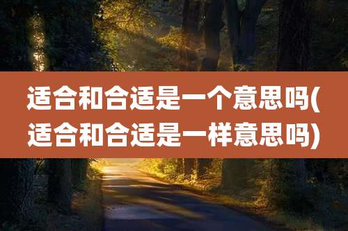 适合和合适是一个意思吗(适合和合适是一样意思吗)