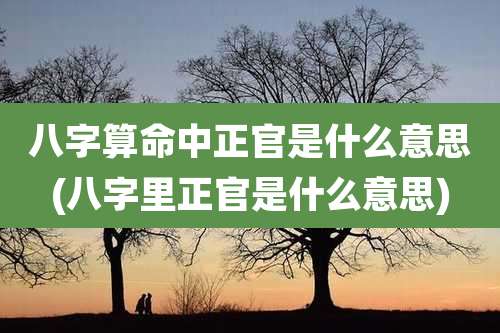八字算命中正官是什么意思(八字里正官是什么意思)