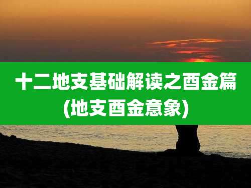 十二地支基础解读之酉金篇(地支酉金意象)