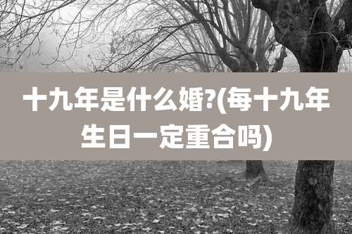十九年是什么婚?(每十九年生日一定重合吗)