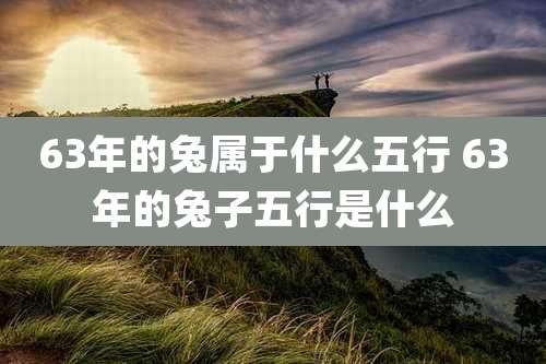 63年的兔属于什么五行 63年的兔子五行是什么