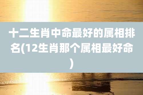 十二生肖中命最好的属相排名(12生肖那个属相最好命)