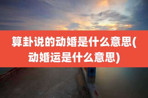 算卦说的动婚是什么意思(动婚运是什么意思)