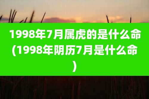 1998年7月属虎的是什么命(1998年阴历7月是什么命)