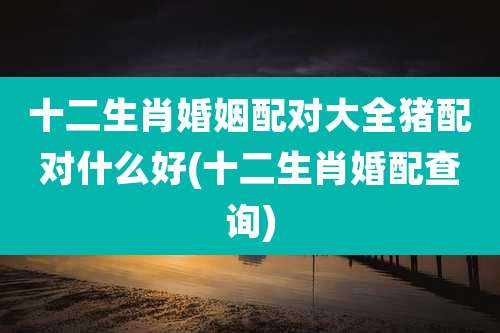 十二生肖婚姻配对大全猪配对什么好(十二生肖婚配查询)