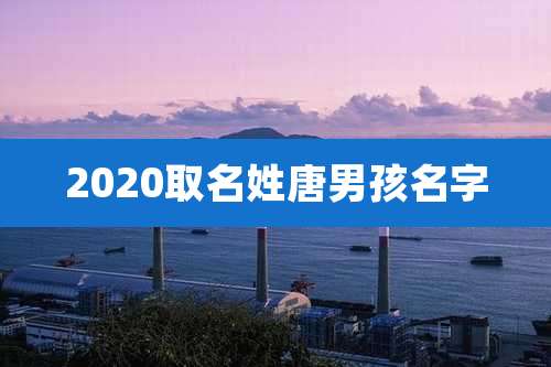 2020取名姓唐男孩名字