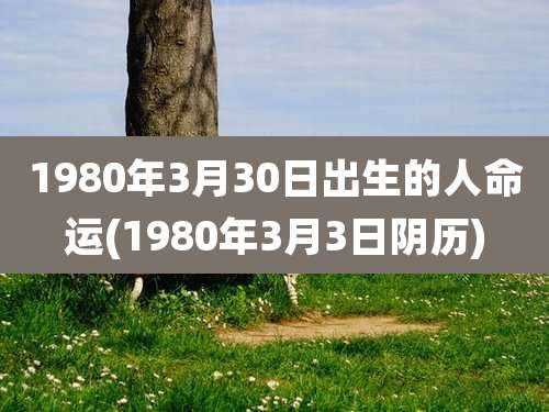 1980年3月30日出生的人命运(1980年3月3日阴历)