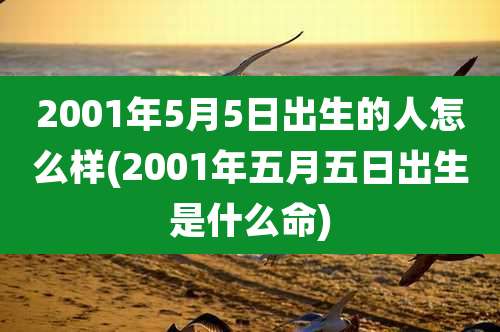 2001年5月5日出生的人怎么样(2001年五月五日出生是什么命)