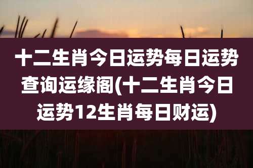 十二生肖今日运势每日运势查询运缘阁(十二生肖今日运势12生肖每日财运)