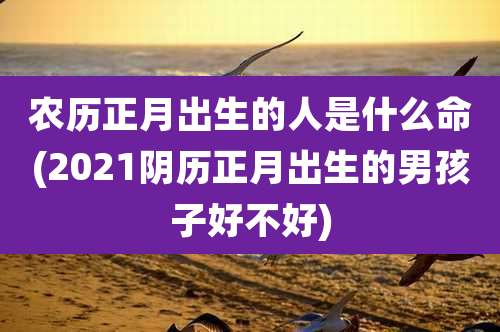 农历正月出生的人是什么命(2021阴历正月出生的男孩子好不好)