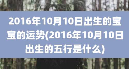 2016年10月10日出生的宝宝的运势(2016年10月10日出生的五行是什么)