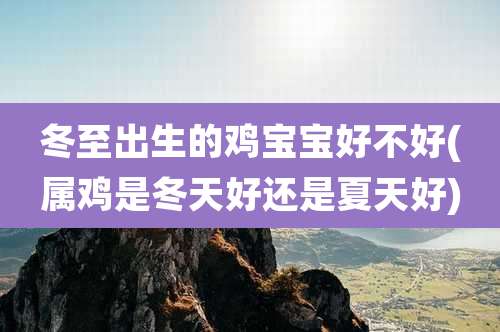 冬至出生的鸡宝宝好不好(属鸡是冬天好还是夏天好)