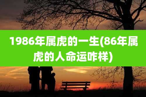 1986年属虎的一生(86年属虎的人命运咋样)