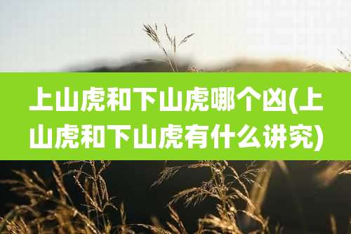 上山虎和下山虎哪个凶(上山虎和下山虎有什么讲究)