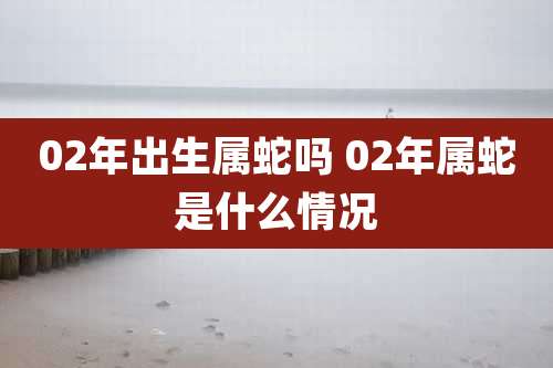 02年出生属蛇吗 02年属蛇是什么情况