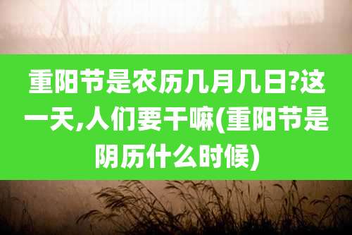 重阳节是农历几月几日?这一天,人们要干嘛(重阳节是阴历什么时候)