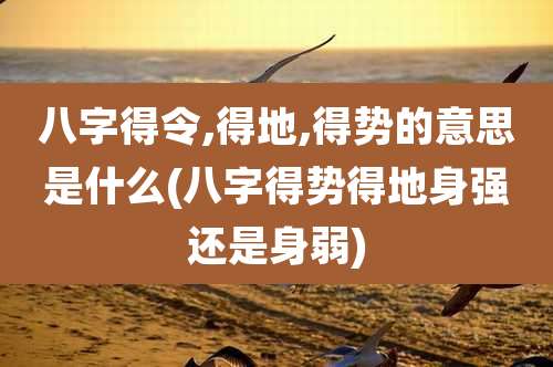 八字得令,得地,得势的意思是什么(八字得势得地身强还是身弱)