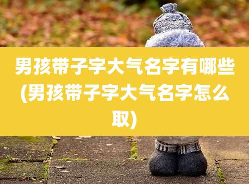 男孩带子字大气名字有哪些(男孩带子字大气名字怎么取)