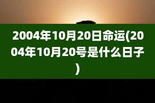 2004年10月20日命运(2004年10月20号是什么日子)
