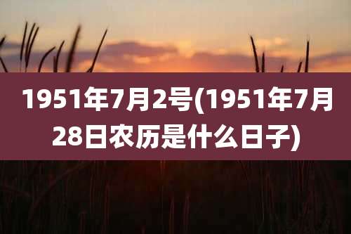 1951年7月2号(1951年7月28日农历是什么日子)