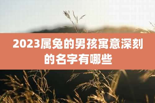 2023属兔的男孩寓意深刻的名字有哪些