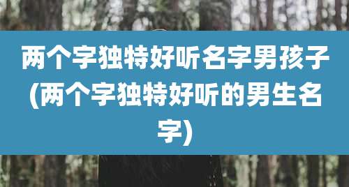 两个字独特好听名字男孩子(两个字独特好听的男生名字)