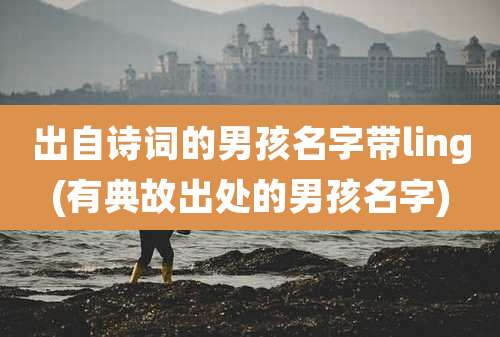 出自诗词的男孩名字带ling(有典故出处的男孩名字)