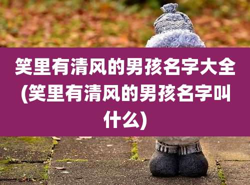 笑里有清风的男孩名字大全(笑里有清风的男孩名字叫什么)