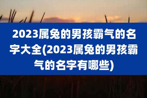 2023属兔的男孩霸气的名字大全(2023属兔的男孩霸气的名字有哪些)