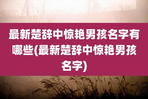 最新楚辞中惊艳男孩名字有哪些(最新楚辞中惊艳男孩名字)