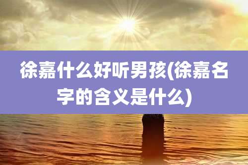 徐嘉什么好听男孩(徐嘉名字的含义是什么)