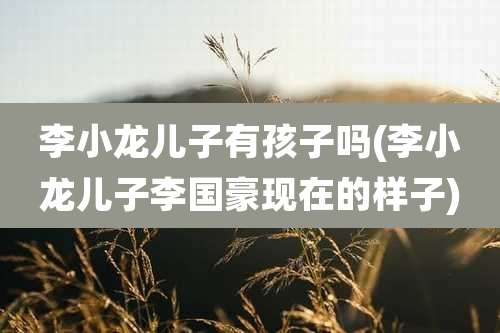 李小龙儿子有孩子吗(李小龙儿子李国豪现在的样子)