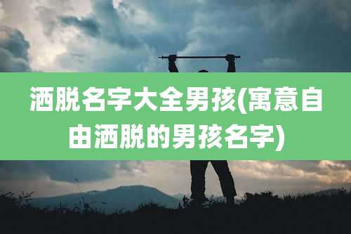 洒脱名字大全男孩(寓意自由洒脱的男孩名字)