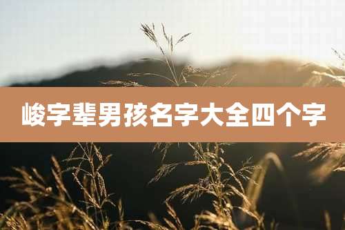 峻字辈男孩名字大全四个字